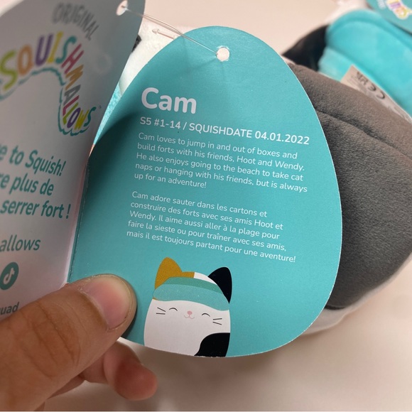 Squishmallow Cam the Cat in Blue Visor 5” - Picture 5 of 7